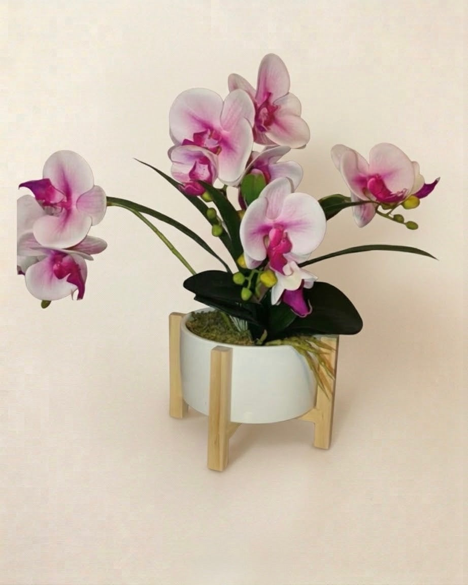 ORCHIDEA CON VASO