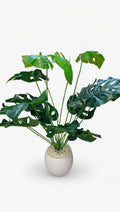 PIANTA ARTIFICIALE MONSTERA DELICIOSA - H 70 cm - Real Touch 